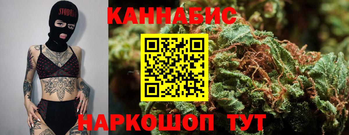 Конопля план  Вход с VPN  Конопля White Widow  Новозыбков 