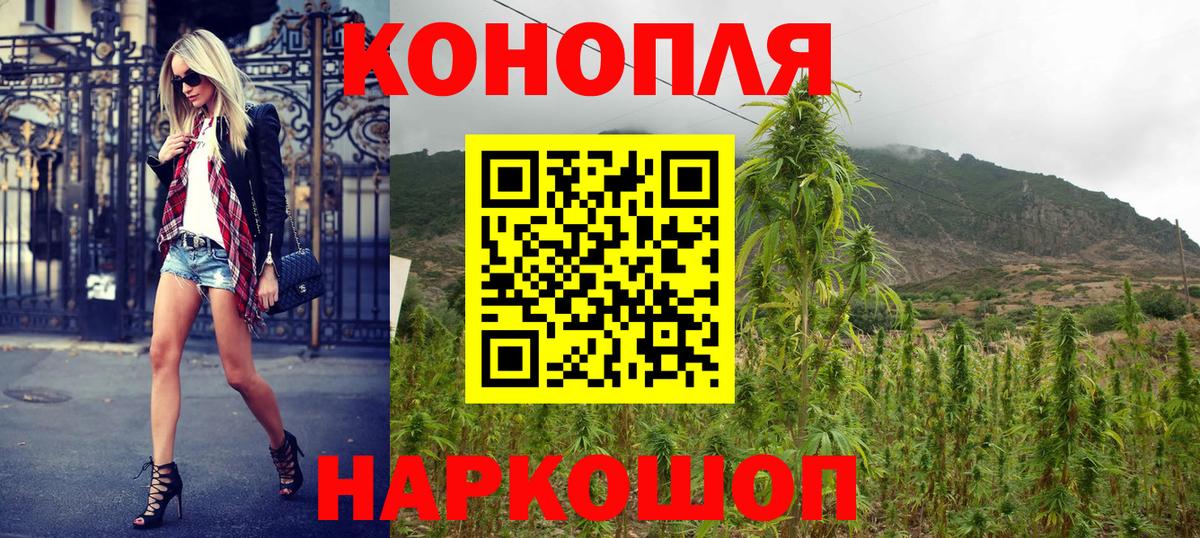 Конопля THC 21% Новозыбков
